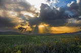 La quiete prima della tempesta