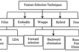 Feature Selection and Feature Extraction
