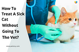 Every now and then we get sick, but if you are a full-time cat owner, that’s rarely an excuse for…