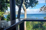 Coffee cup in foreground on the railing of a deck overlooking palm trees and a tropical bay in Fiji.