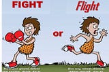 Flight or fight!