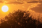 #4 How Afternoon Plays a Vital Role in Your Health