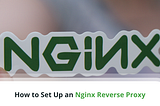 Hosting Multiple Web Apps and APIs with Nginx Reverse Proxies