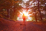 Silhouette of person running surrounded by orange trees