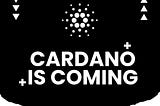 Cardano is coming & MAYZ does the heavy lifting