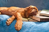 Exhausted pup asleep on a ton of books