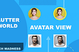 Flutter: AVATAR VIEW