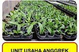 jual anggrek bulan Batu