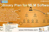 A Binary MLM plan is a popular multi-level marketing compensation structure