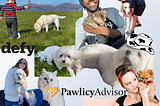 Pawlicy - A Friendship Story