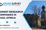 Market Research Companies in Chad, Africa