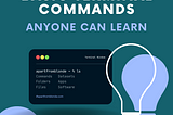 Basic Terminal Commands Anyone Can Learn (No Coding Involved!)