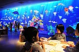 Visit an Interactive Aquarium