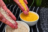 Golden Rice: The GMO superfood blocked by ‘needless precaution’