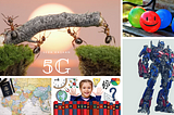 5G Yaşam ve Kariyer Mottom ; Gayret, Gelişmek, Girişimcilik, Gülmek Ve Gezmek