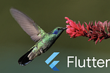 Flutter: How to fluttering from one version to other versions