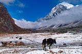 Sikkim tourist places photos