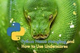 Python Name Mangling and How to Use Underscores