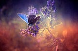 The Beautiful Chaos of Transformation