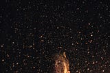 A person standing in front of a black background with gold flecks falling around them.