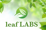 About Leaf 🍃 Labs?