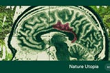 Neuroimaging and Green Landscapes