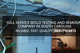 Mold testing service in an apartment of Greenville, SC by AoS
