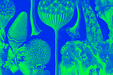 Vintage illustrations of slime mould superimposed with photographs of women and queer movements in Asia and the Pacific. The image is in green and blue.