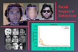 Facial Key Point Detection