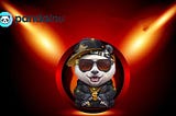 PandaInu: The Best Meme coin in the World