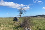 A walk over Middleton Moor, seeking inspiration.