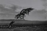 Evergreen Themes and Visual Provocations in Ingmar Bergman’s “The Virgin Spring”