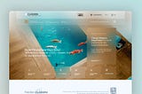 Classen.com.tr Yayında, Stage Dijital Dokunuşuyla Modern Web Deneyimi