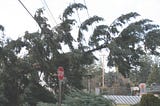 Investing in Resilience: Strategies for Successful Storm Response and Management