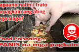 Bakit delikado sa mga alagang hayop ang mga panis na pagkain?