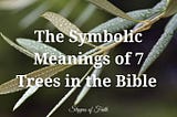 The Symbolic Meanings of 7 Trees in the Bible