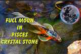 Best Crystal Stones For Full Moon In Pisces