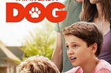 [Film-Magyarul]!™ Think Like a Dog! (2020) Teljes Videa HD Online [HU]