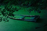 mostly sunken row boat in an algae-covered pond.