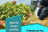 Making quality silage: 4 measures you never knew existed