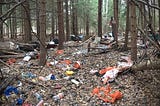 Devastation of a Forest and a Dwelling