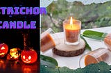The Enchanting Aroma of Petrichor Candle