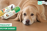 Freshpet Killed My Dog: Unveiling the Truth