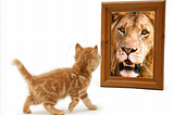 Picture of a kitten looking into a mirror and seeing a lion reflected back