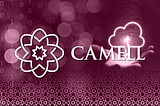 Camell: Subscription Services!