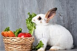 Rabbit Diet and What Rabbits Can Eat
