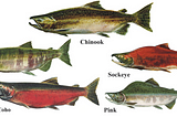 Territorial Waters