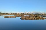 Coastal marsh with still blue water, low grassy islands, and distant houses under a clear blue sky.