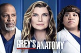 Grey’s Anatomy and other medical dramas need to start representing other health care professionals