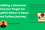 Building a Grammar Checker Plugin for TinyMCE Editor: A React and Python Journey